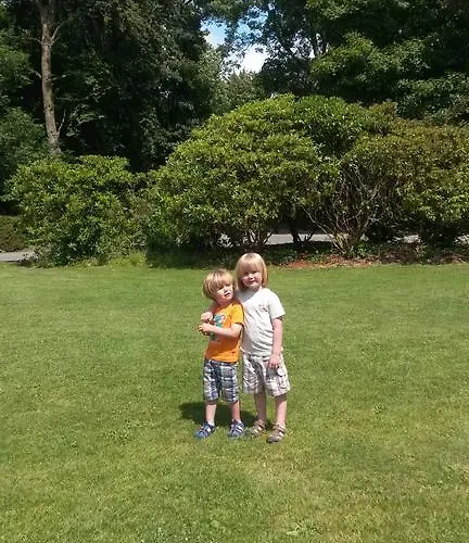 住宿加早餐酒店 Dergfield House 巴利博菲