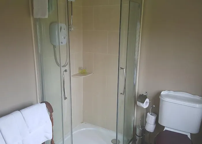 Dergfield House 4* 巴利博菲